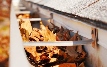 Tullynessle gutter cleaning companies