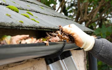 gutter cleaning Tullynessle, Aberdeenshire